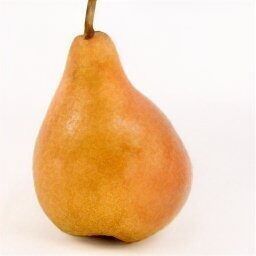 Bosc Pear