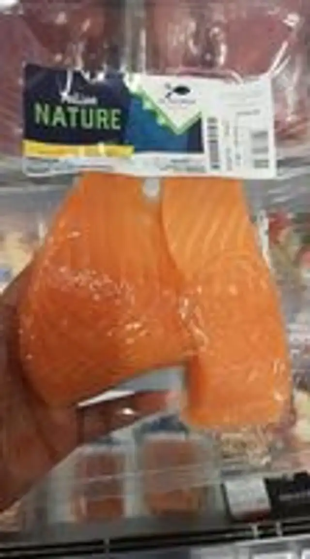 Pavé saumon reu pelagique