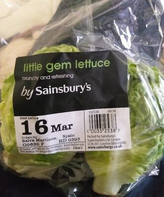 Little gem lettuce