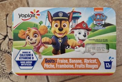 Yaourt pat patrouille front packaging