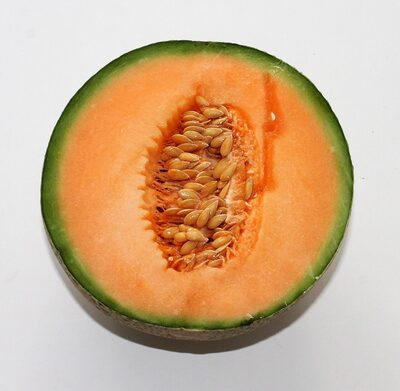 melon import