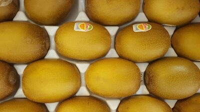 kiwi jaune au kilo import