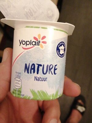 Yaourt nature