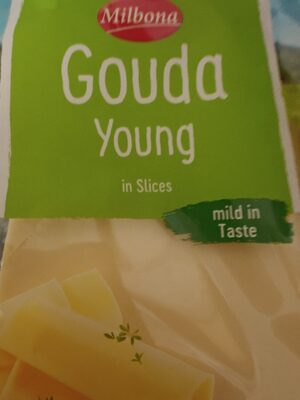Gouda Cheese