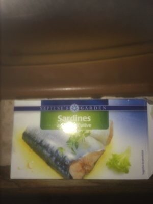 Sardines a l huile d’olive