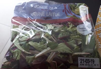 Jeune laitue et roquette