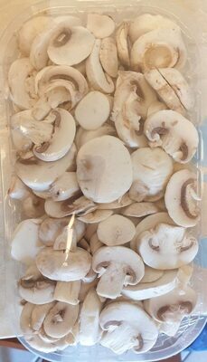 Fungo Prataiolo Bianco