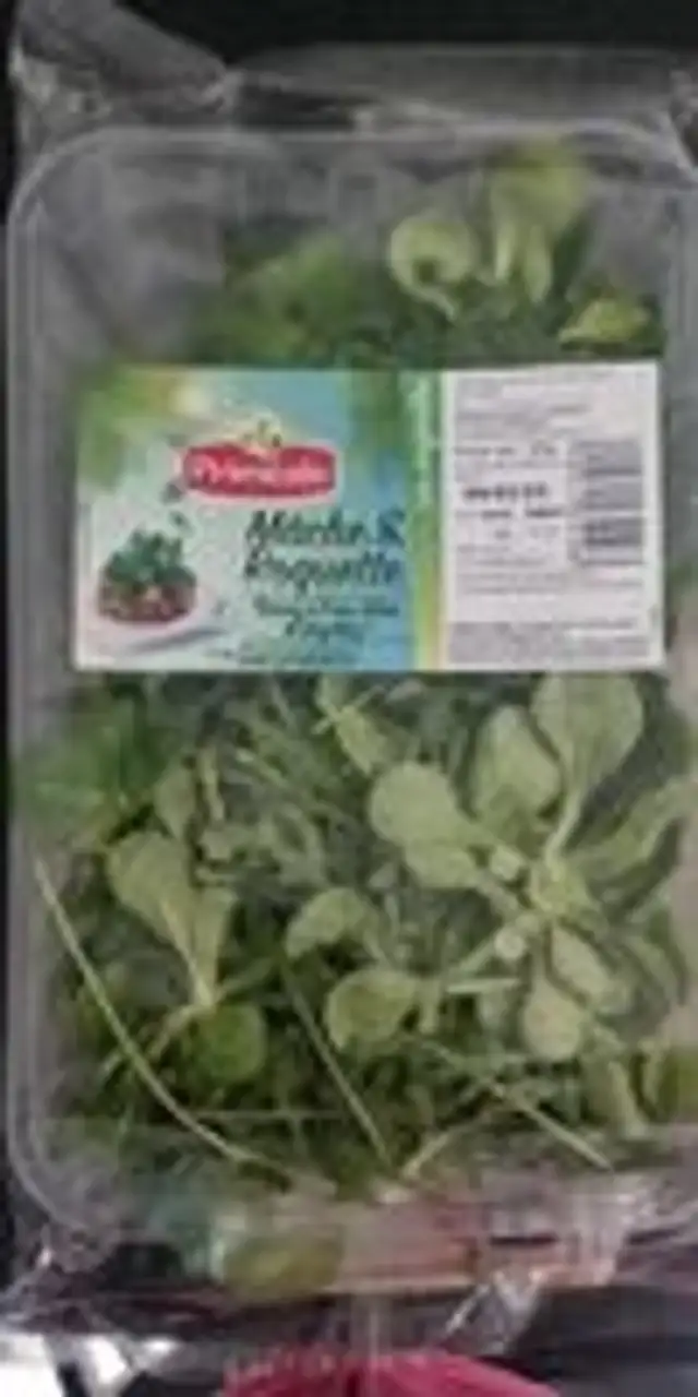 Mache Roquette