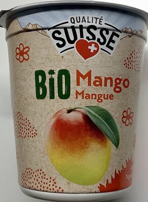 Bio yogourt Mangue