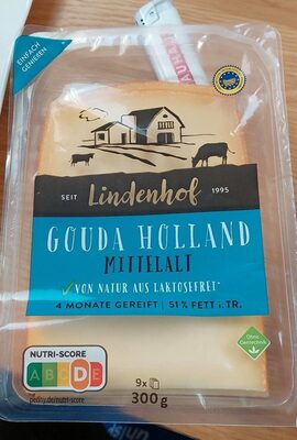 Gouda Holland
