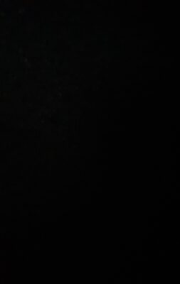 Yoghurt Biscuits, Waldfrüchte