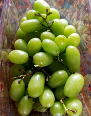 Trauben kernlos weiss
