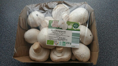 Bio Champignons