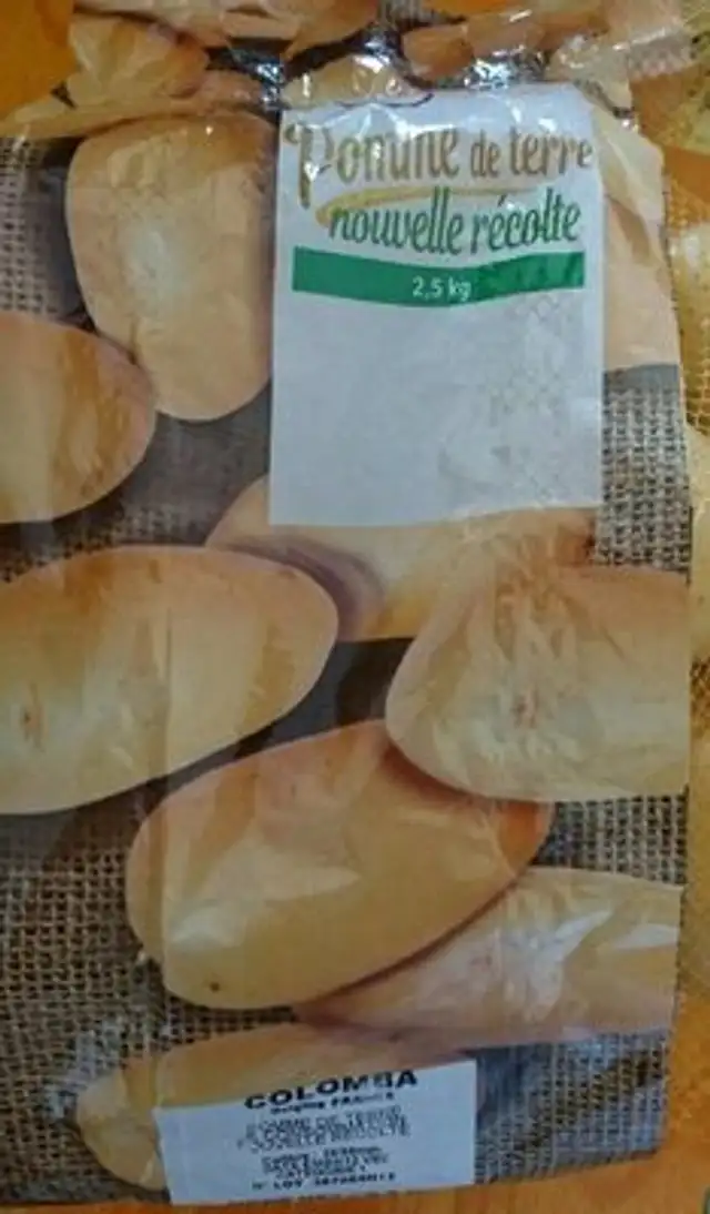 Pomme de terre Colomba