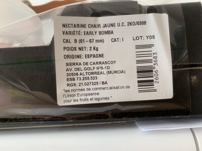 Nectarine chair jaune