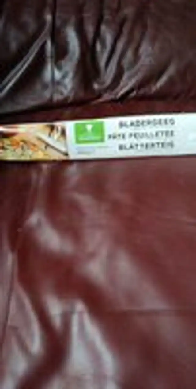 BLADERDEEG