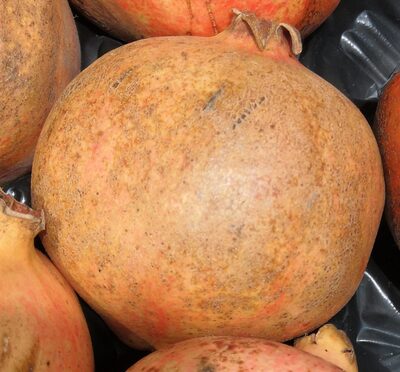 ALDI OBST Granatapfel 1St. 0.99€