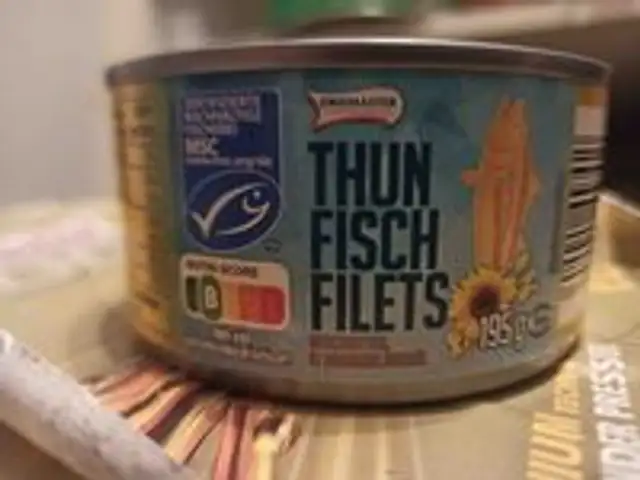 Thunfischfilets in Sonnenblumenöl