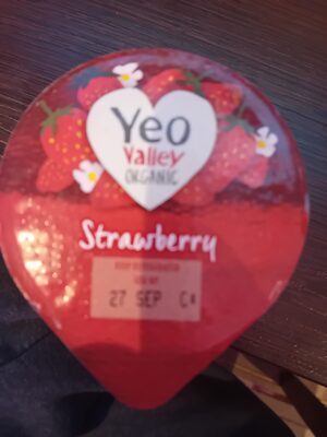 Yeo valley yoghurt small