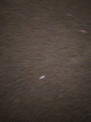 Mazapán Cerezo front packaging