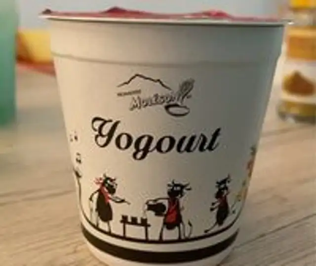 Yoghurt