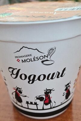 Yogourt Ananas front packaging