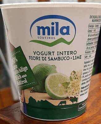 Yogurt intero fior di sambuco e lime