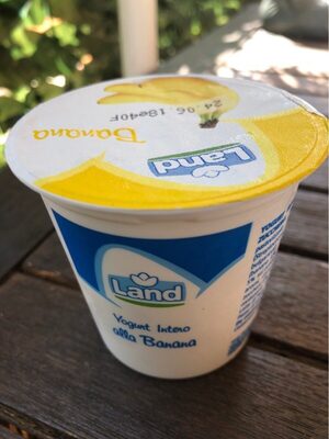 Yogurt intero alla banana