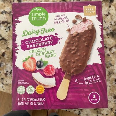 dairy free chocolate raspberry frozen dessert