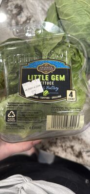 Little Gem Lettuce