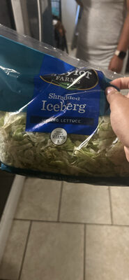 Shredded Iceberg