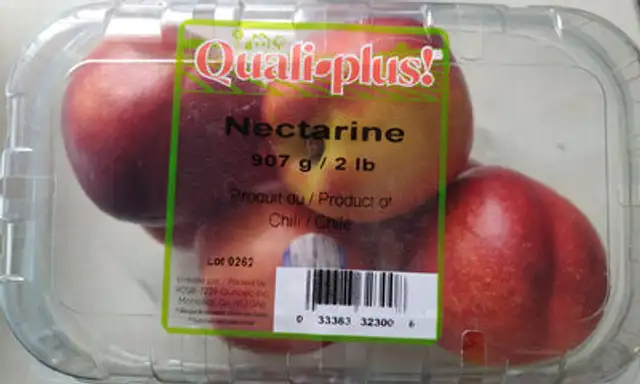 Nectarine