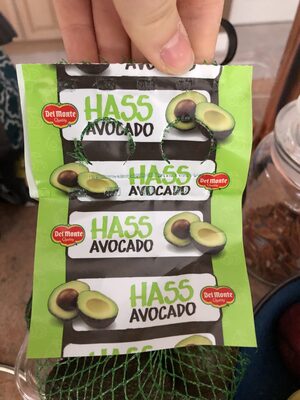 Avocat Hass