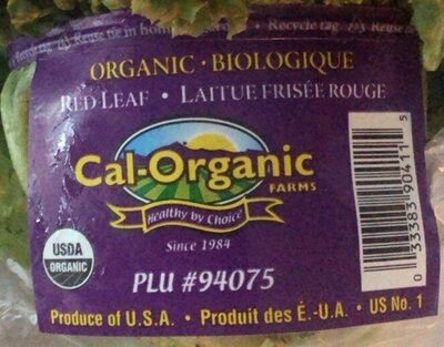 Organic Red Leaf Lettuce