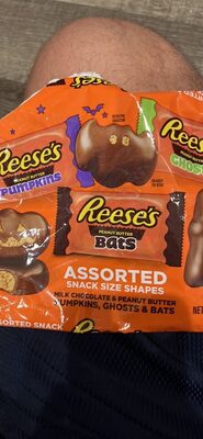 ASSORTED SNACK SIZE SHAPES MILK CHOCOLATE & PEANUT BUTTER PUMPKINS, GHOSTS & BATS