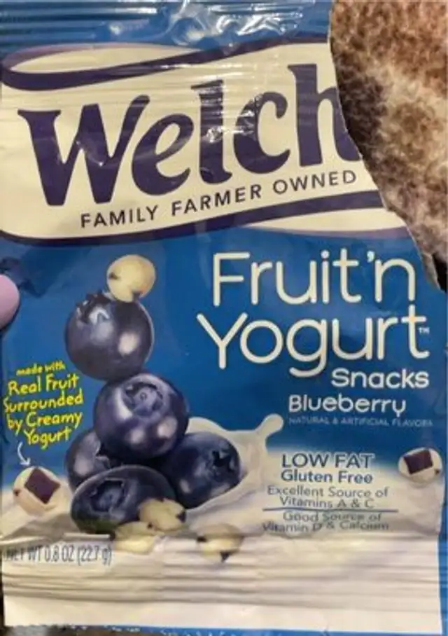 Fruit’n Yogurt snacks blueberry