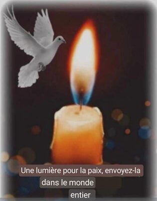 Peas & Diced Carrots front packaging