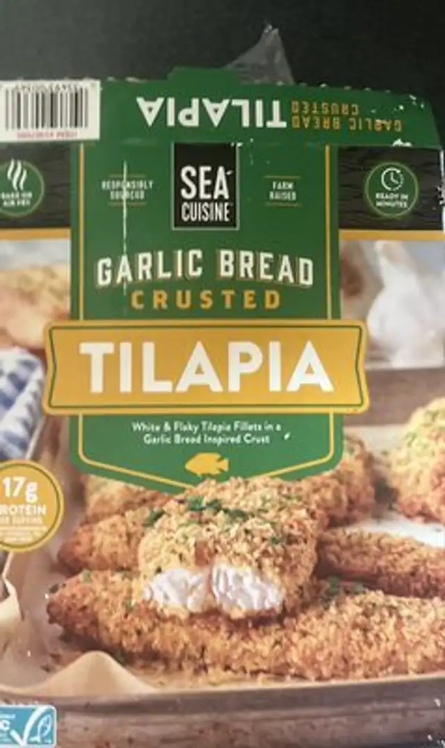 Tilapia