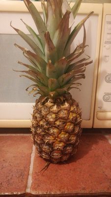 Ananas