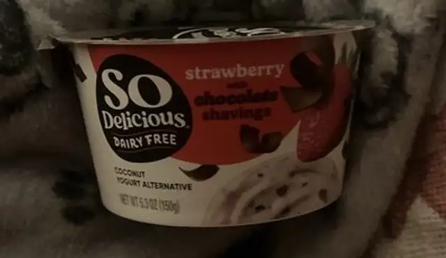 Dairy free yogurt