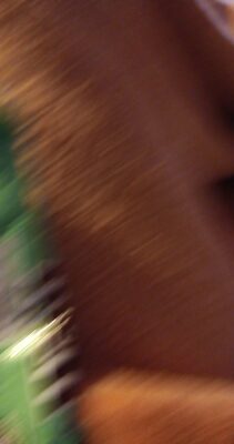 Best Before 08/2 front packaging