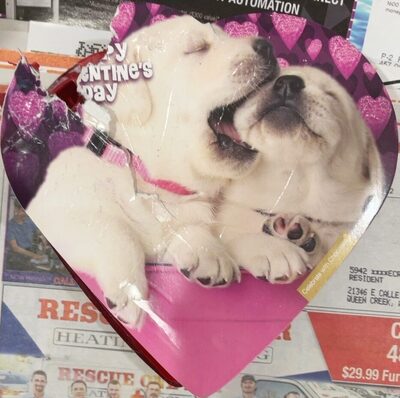 Elmer Chocolate Valentines Day Pack front packaging