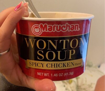 wonton soup spicy chicken flavor