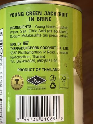 Young green jackfruit in brine sliced