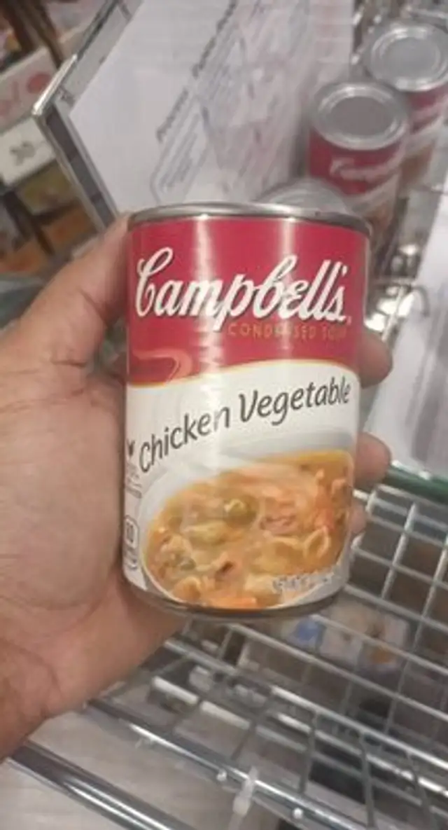 Campbell's condensed soup chicken vegetable
