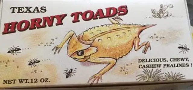 Horny Toads