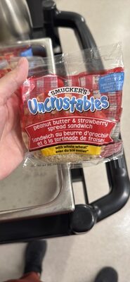 peanut butter & strawberry spread sandwich