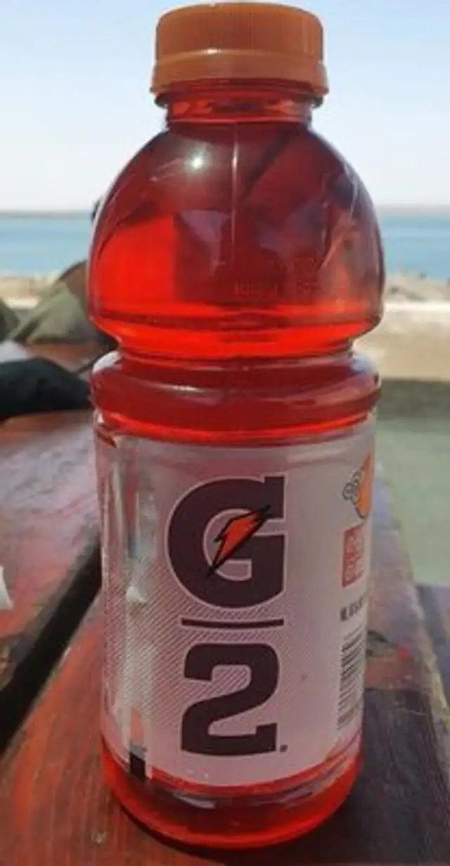 G2 Low Calorie Fruit Punch Thirst Quencher 20