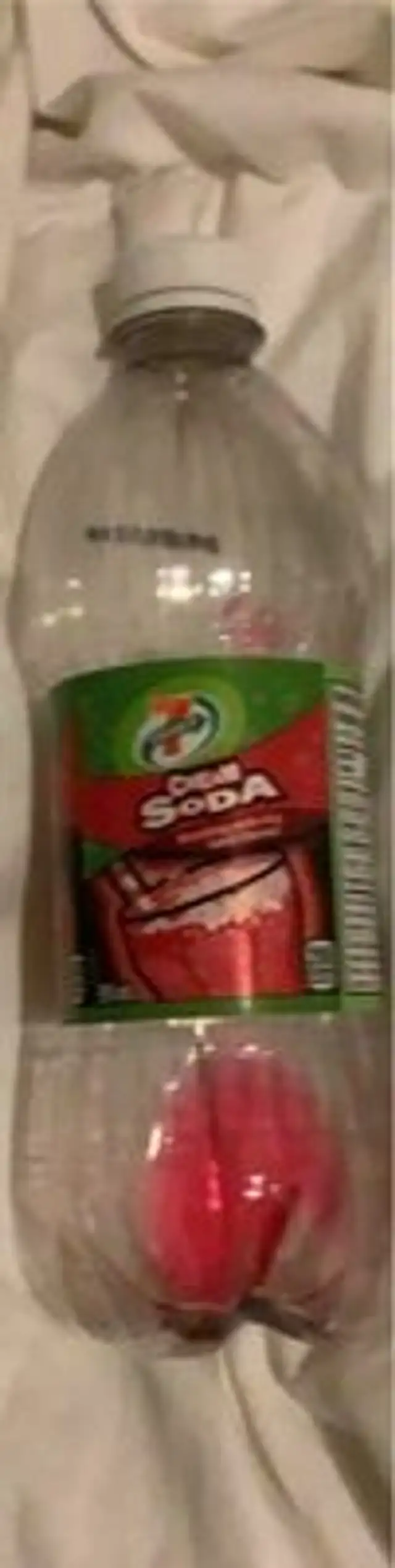 Cream Soda