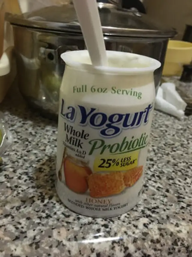 Blended whole milk yogurt